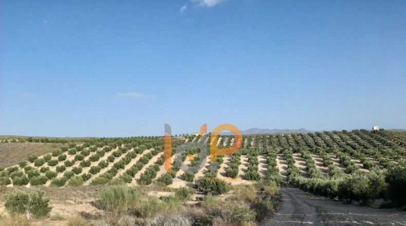 Almería - Carboneras - 100000m2