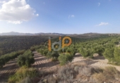 Finca rústica en venta en Albox ref: TR13447 foto