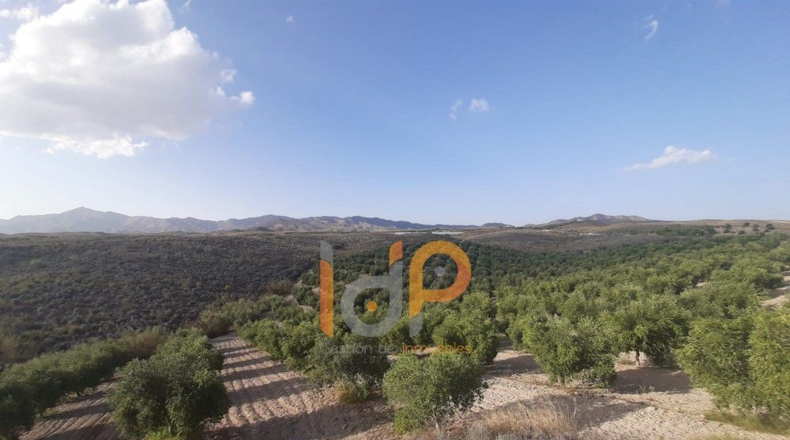 Almería - Carboneras - 100000m2