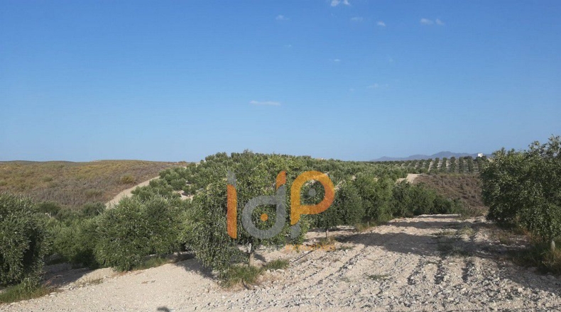 Almería - Carboneras - 100000m2