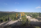 Finca rústica en venta en Albox ref: TR13447 foto