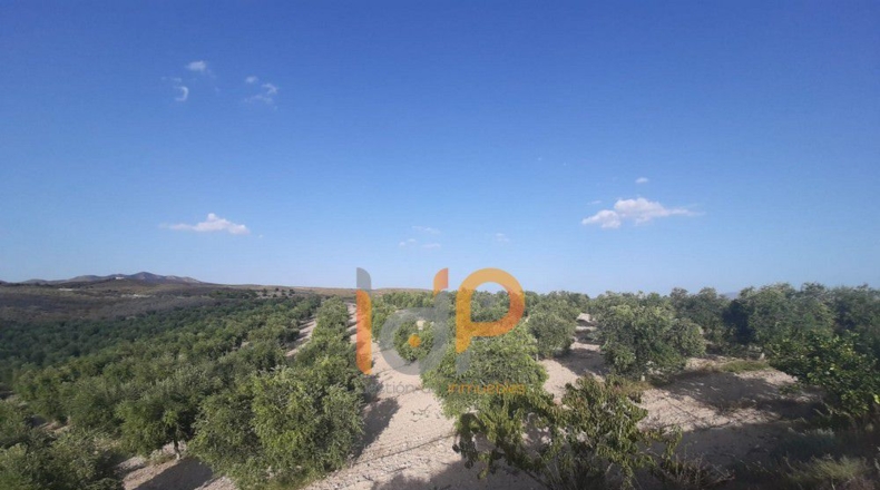 Almería - Carboneras - 100000m2