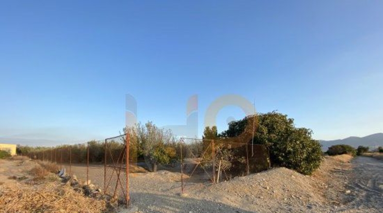 Almería - Huércal-Overa - 5900m2