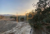 Non-developable land for sale in Huércal-Overa ref: TR382300 photo