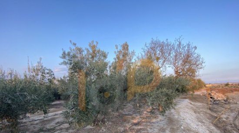 Almería - Huércal-Overa - 5900m2