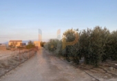 Non-developable land for sale in Huércal-Overa ref: TR382300 photo