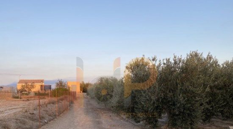 Almería - Huércal-Overa - 5900m2