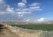 Terreny no urbanitzable en venda a Huércal-Overa ref.: TR22117 foto