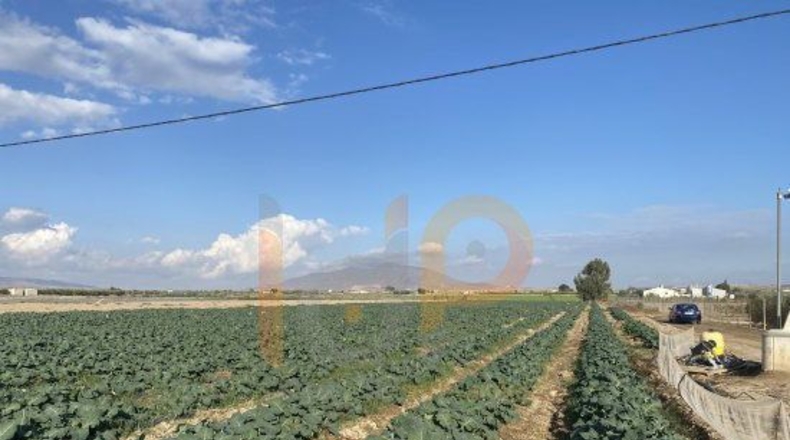 Almería - El Saltador - 8000m2