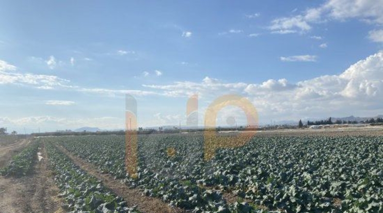 Almería - El Saltador - 8000m2