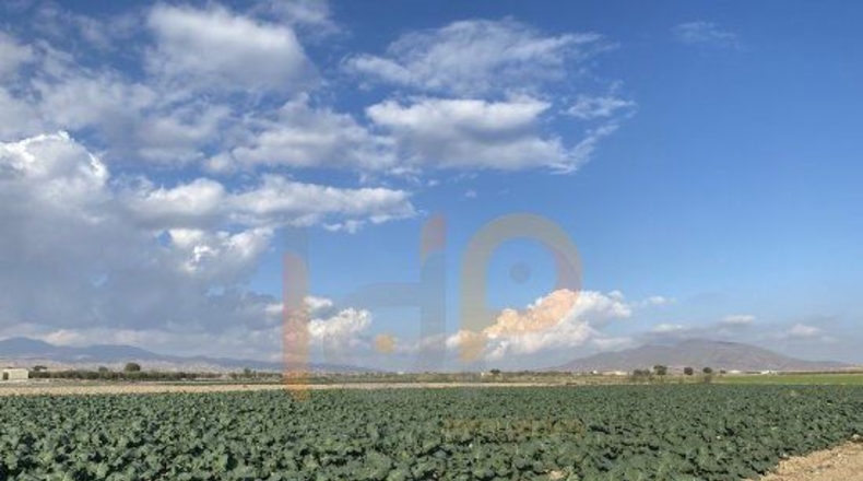 Almería - El Saltador - 8000m2