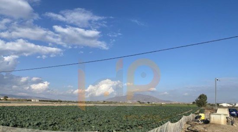 Almería - El Saltador - 8000m2