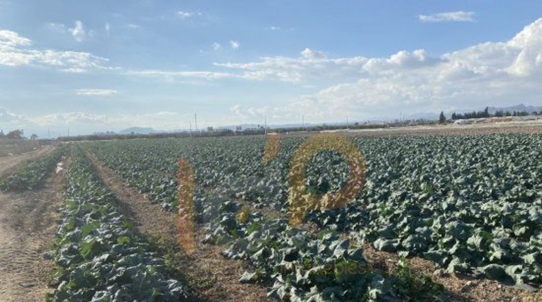 Almería - El Saltador - 8000m2