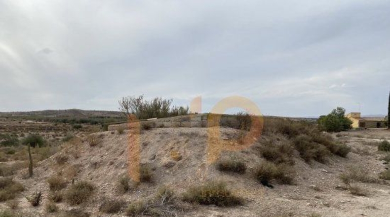 Almería - Huércal-Overa - 8000m2