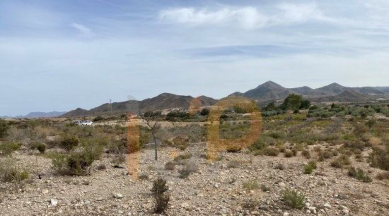 Almería - Huércal-Overa - 8000m2