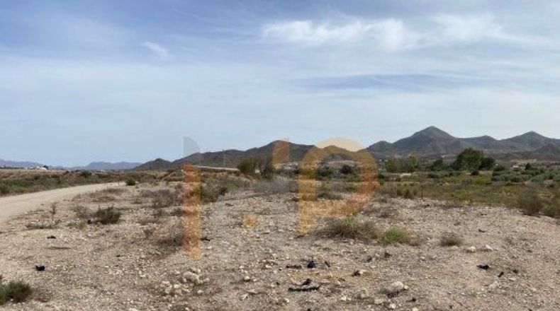 Almería - Huércal-Overa - 8000m2