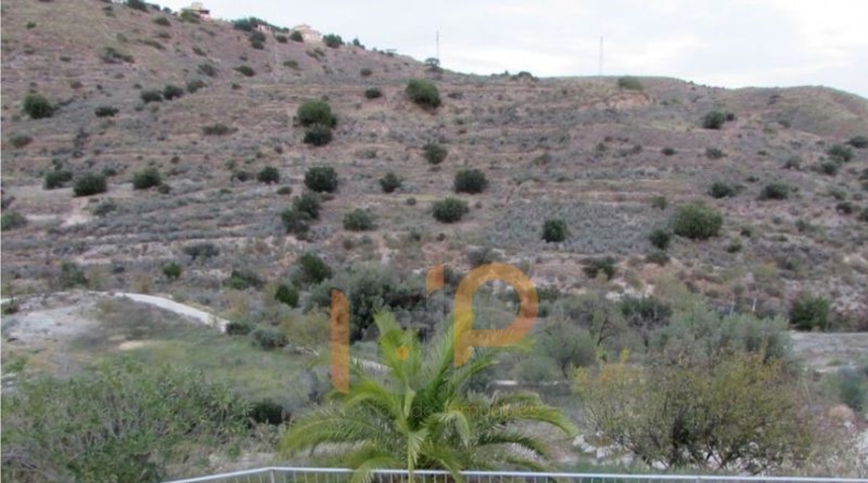 Almería - Bédar - 2000m2