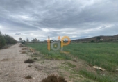 Terreny no urbanitzable en venda a Huércal-Overa ref.: TR22122 foto