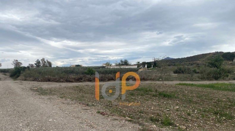 Almería - Úrcal - 20000m2