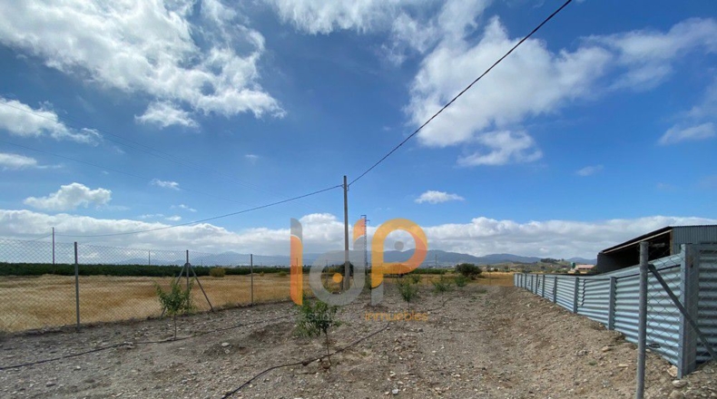 Альмерия - Huércal-Overa - 20000m2