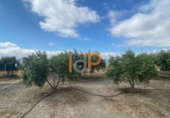 Finca rústica en venda a Huércal-Overa ref.: TR382019 foto