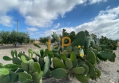 Finca rústica en venda a Huércal-Overa ref.: TR382019 foto