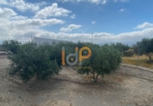 Finca rústica en venda a Huércal-Overa ref.: TR382019 foto