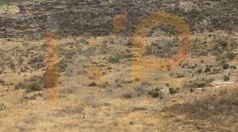 Almería - Zurgena - 3000m2