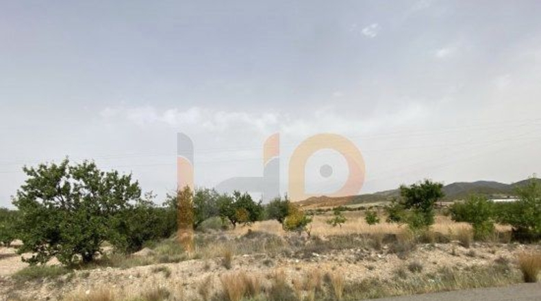 Almería - Huércal-Overa - 16000m2