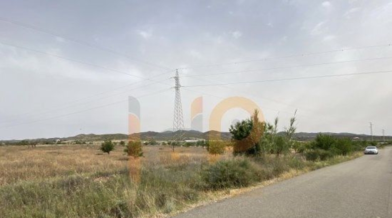 Almería - Huércal-Overa - 16000m2
