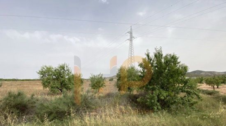 Almería - Huércal-Overa - 16000m2