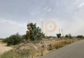 Non-developable land for sale in Huércal-Overa ref: TR22125 photo