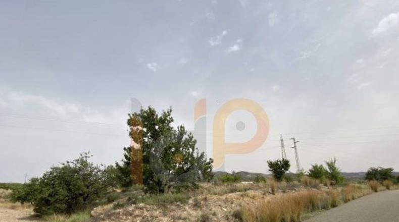 Almería - Huércal-Overa - 16000m2