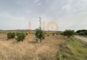 Non-developable land for sale in Huércal-Overa ref: TR22125 photo