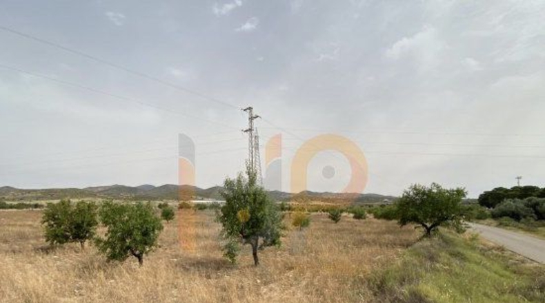 Almería - Huércal-Overa - 16000m2