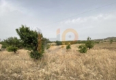 Non-developable land for sale in Huércal-Overa ref: TR22125 photo