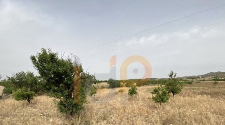 Almería - Huércal-Overa - 16000m2