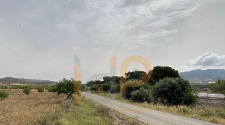 Almería - Huércal-Overa - 16000m2
