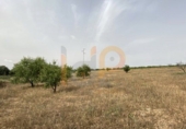 Non-developable land for sale in Huércal-Overa ref: TR22125 photo