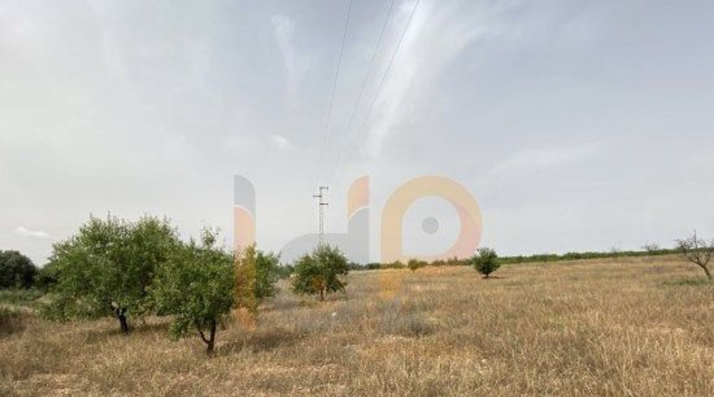 Almería - Huércal-Overa - 16000m2