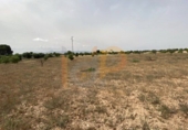 Non-developable land for sale in Huércal-Overa ref: TR22125 photo