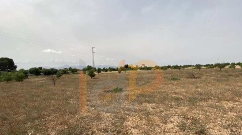 Almería - Huércal-Overa - 16000m2