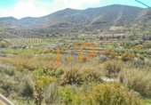 Finca rústica en venda a Cantoria ref.: TR21631 foto