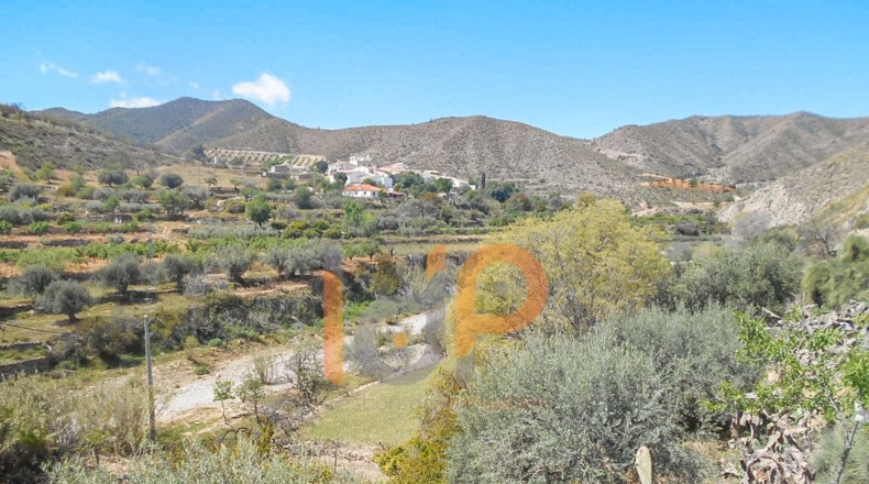 Almería - Cantoria - 7000m2