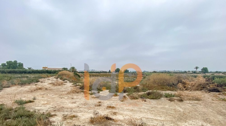 Almería - El Saltador - 20300m2