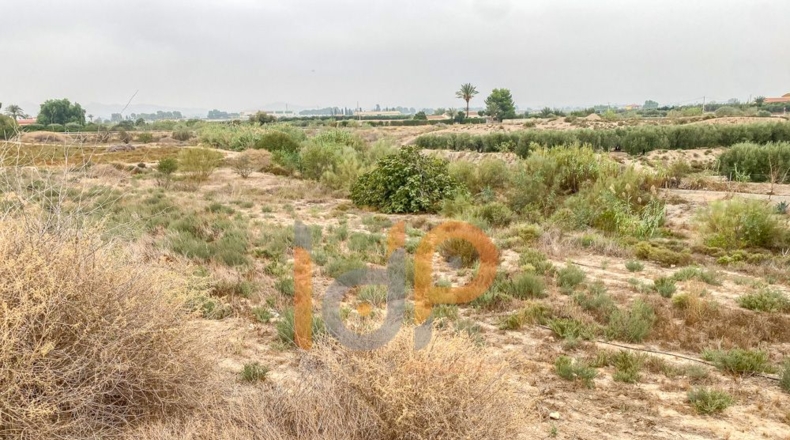 Almería - El Saltador - 20300m2