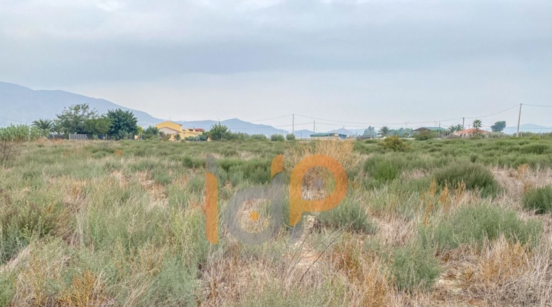 Almería - El Saltador - 20300m2