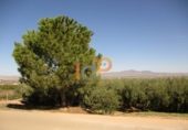 Non-developable land for sale in Huércal-Overa ref: TR22134 photo
