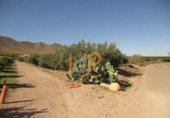 Non-developable land for sale in Huércal-Overa ref: TR22134 photo