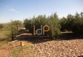 Non-developable land for sale in Huércal-Overa ref: TR22134 photo
